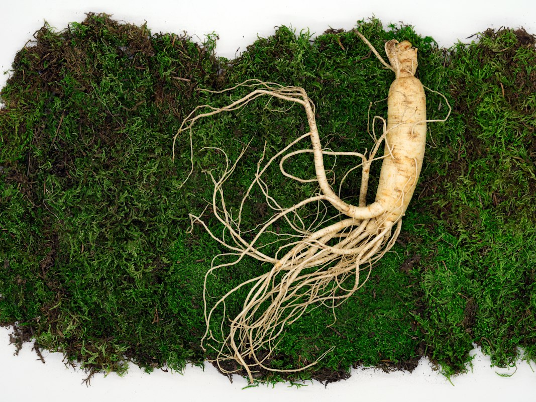 Naturprodukte gegen Erektionsstörungen